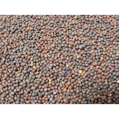 Mumm's Certified Organic Broccoli Seeds 200gr